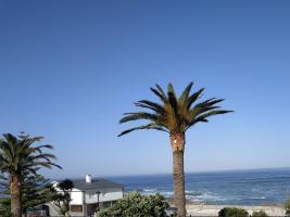 IMG_20190324_084902