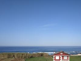 IMG_20190324_084428