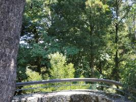 IMG_20180816_150859